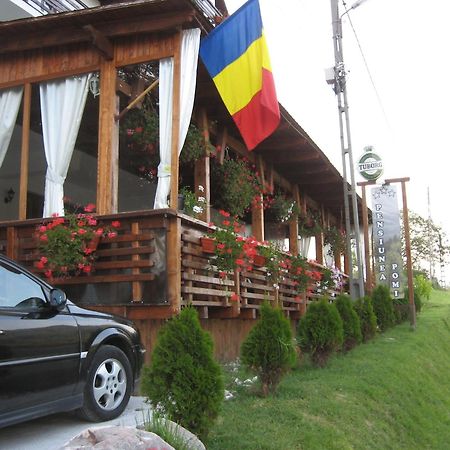 Pensiunea Pomi -Oesti Hotel Albestii Paminteni Bagian luar foto