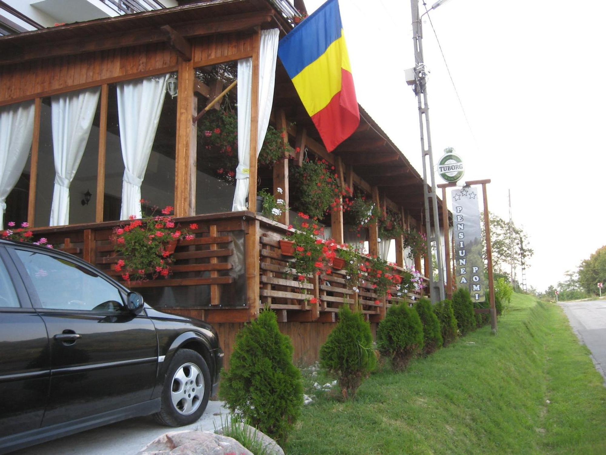 Pensiunea Pomi -Oesti Hotel Albestii Paminteni Bagian luar foto